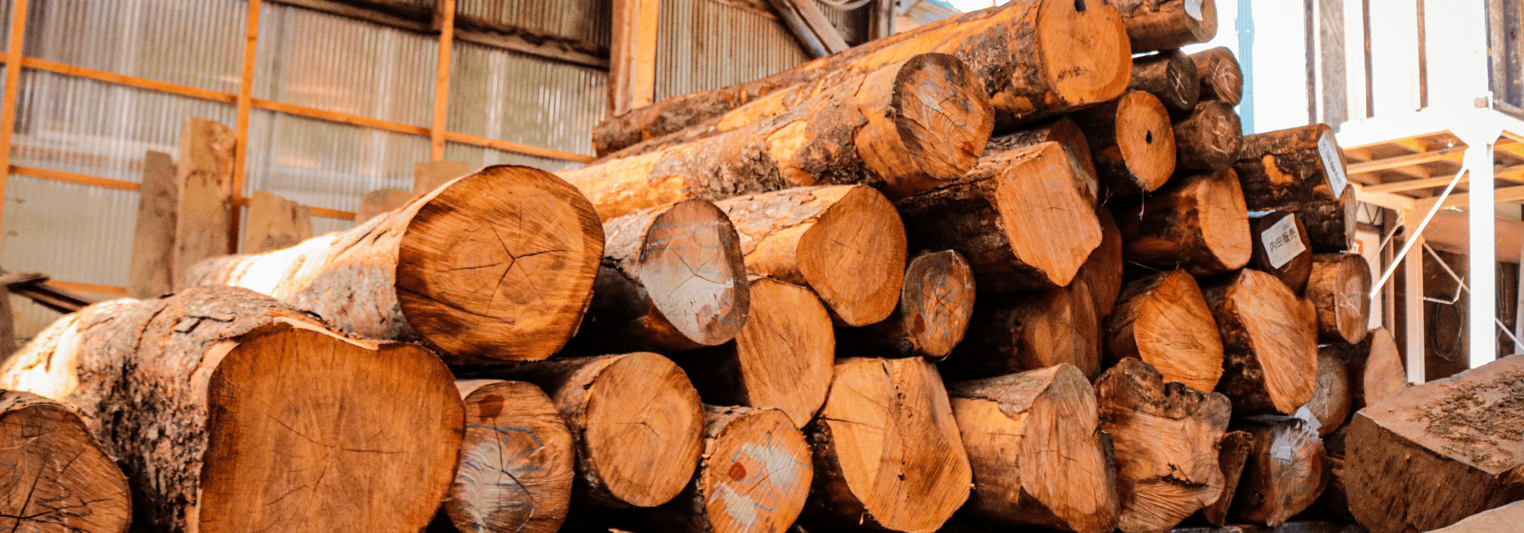 国産木材にこだわる。自社の利益だけが、目的ではないからです。